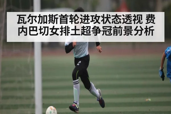 瓦尔加斯首轮进攻状态透视 费内巴切女排土超争冠前景分析 | kaiyun