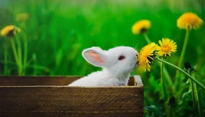 开云体育网页版-皮克：没戏了 塞蒂恩：还有戏
